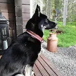 Adventures Äkäslompolo