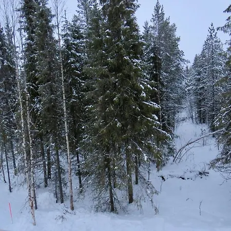 Adventures Отель типа 