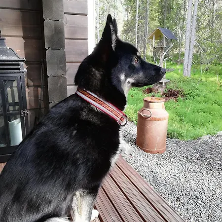 Adventures Äkäslompolo