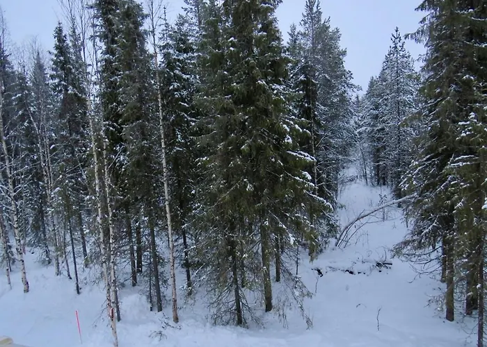 Adventures Panzió *