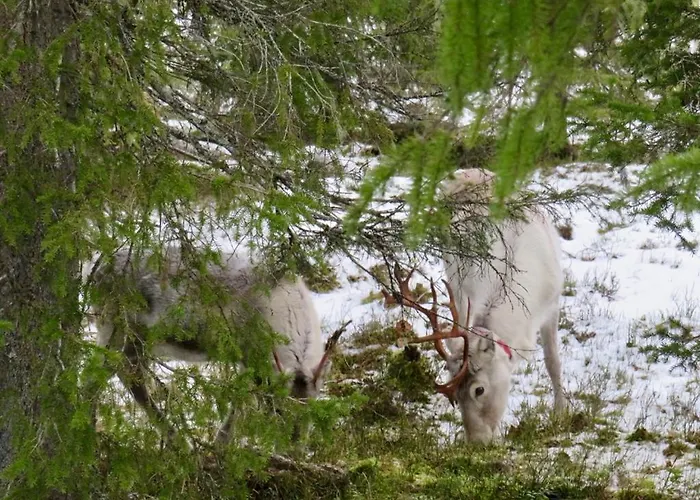 Adventures فندق مبيت وإفطار